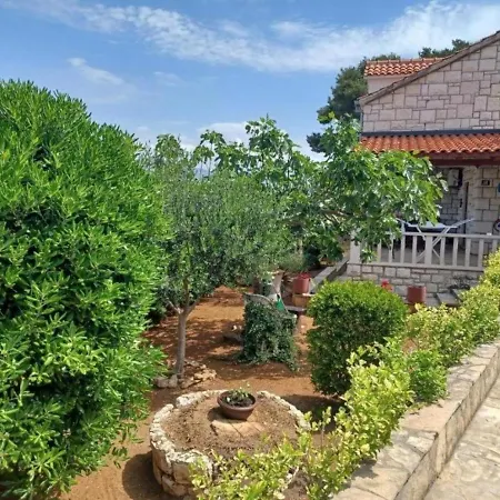Lumos - Panoramic View & Olive Garden