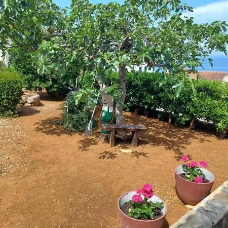 Lumos - Panoramic View & Olive Garden Postira
